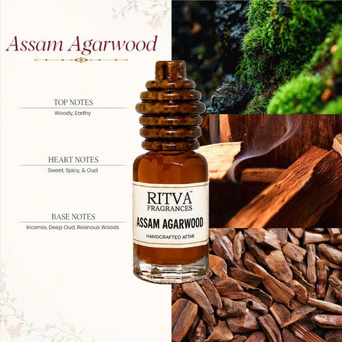 Assam Agarwood Oud Oil | Age 6 Years |Authentic Indian Attar
