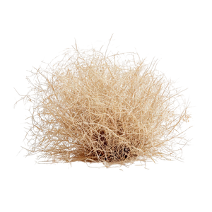 Vetiver